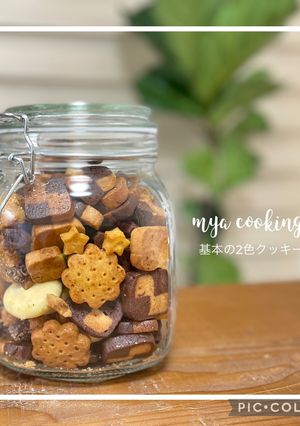 簡単！基本のココアとプレーンのクッキー-レシピのメイン写真