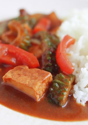 沖縄のゴーヤを使った中辛大人カレー。-レシピのメイン写真