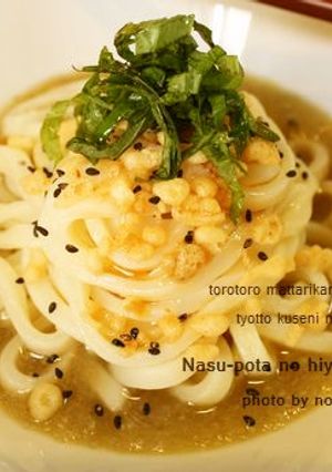 茄子がトロトロ冷やしうどん-レシピのメイン写真