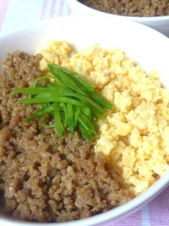 簡単美味♪♪2色そぼろご飯-レシピのメイン写真