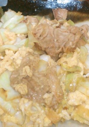 豚肉とキャベツの卵の味噌炒め-レシピのメイン写真