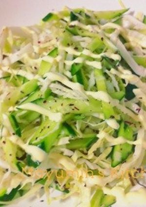 超簡単キャベツ＆胡瓜のゆかり塩昆布サラダ-レシピのメイン写真