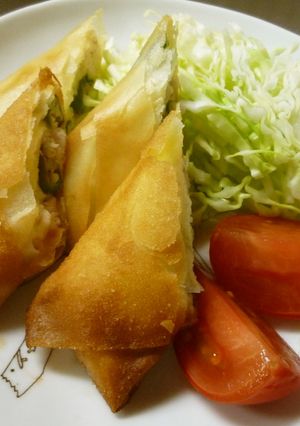 オクラとささみのチーズ春巻き☆-レシピのメイン写真