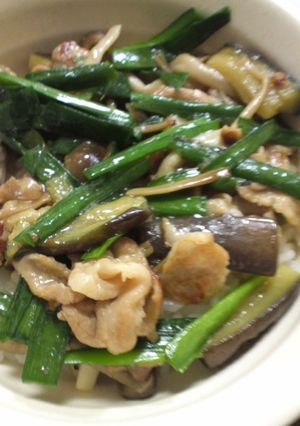簡単☆肉ニラナス丼♪-レシピのメイン写真