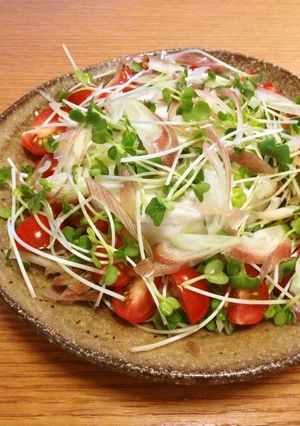 豆腐のさっぱりサラダ-レシピのメイン写真