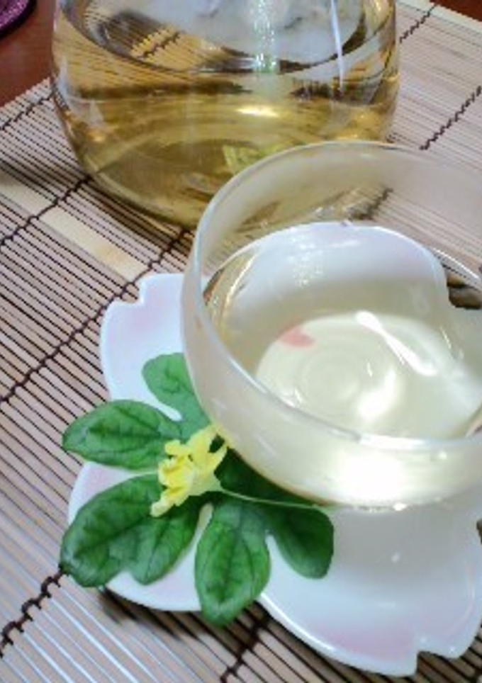 ゴーヤの種と綿でお茶-レシピのメイン写真