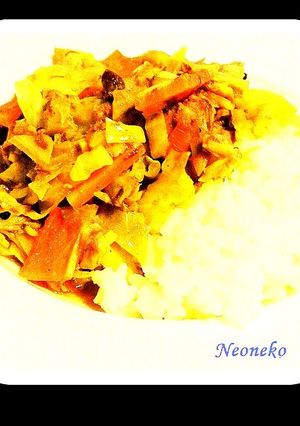 サバ☆カレー-レシピのメイン写真