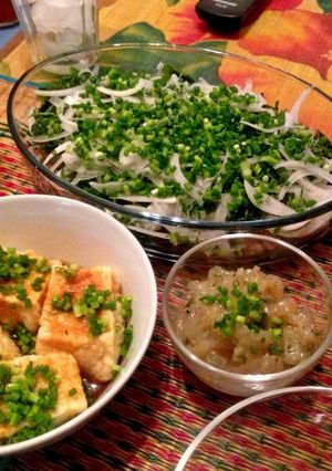 鰹の乗っけ盛り〜香味野菜で血液サラサラ〜-レシピのメイン写真