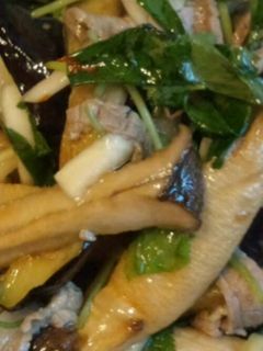 揚げなすとエリンギのエスニック風-レシピのメイン写真