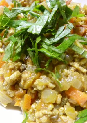 香りはインド♪キーマカレー-レシピのメイン写真