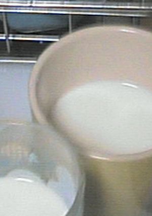 本場インドカレーのお供ラッシ-レシピのメイン写真