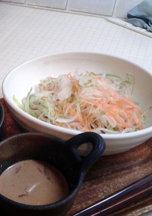 麺なら何でもokつけだれ♪-レシピのメイン写真