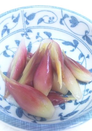 ☆簡単美味☆ミョウガの甘酢漬け-レシピのメイン写真