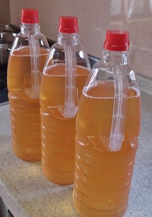 農婦家の梅ジュース 大量ver-レシピのメイン写真