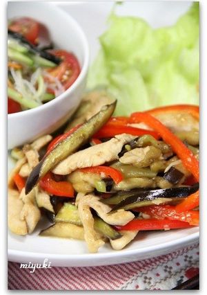 鶏むね肉とナスのチンジャオロース風-レシピのメイン写真