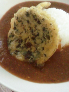湘南しらすのかき揚げカレー-レシピのメイン写真