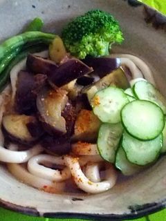 夏野菜のサラダ風うどん-レシピのメイン写真