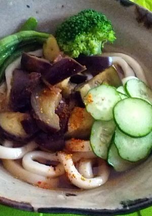 夏野菜のサラダ風うどん-レシピのメイン写真