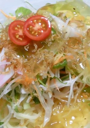 ぷるぷるジュレの冷やしチャンポン-レシピのメイン写真