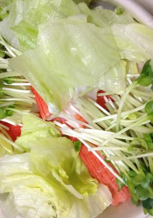 サラダうどん②-レシピのメイン写真