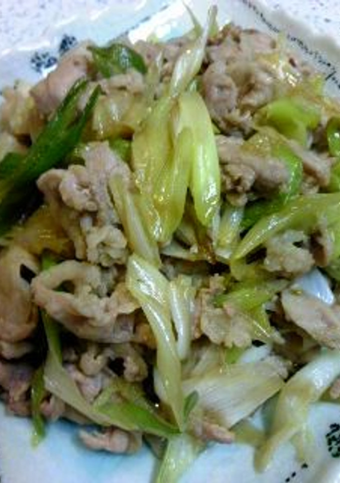 簡単！豚肉とねぎの醤油炒め-レシピのメイン写真