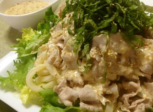 1人ランチに☆ウマウマ冷しゃぶうどん♡-レシピのメイン写真