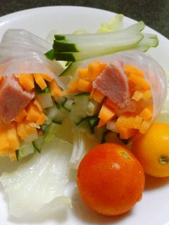 簡単おいしい☆スパムの生春巻き♪-レシピのメイン写真