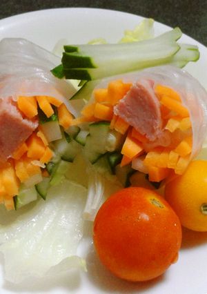 簡単おいしい☆スパムの生春巻き♪-レシピのメイン写真