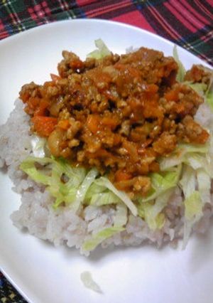 朝どり高原レタスとドライカレーの出会い♪-レシピのメイン写真