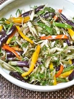 素揚げ夏野菜on紫蘇茗荷-レシピのメイン写真