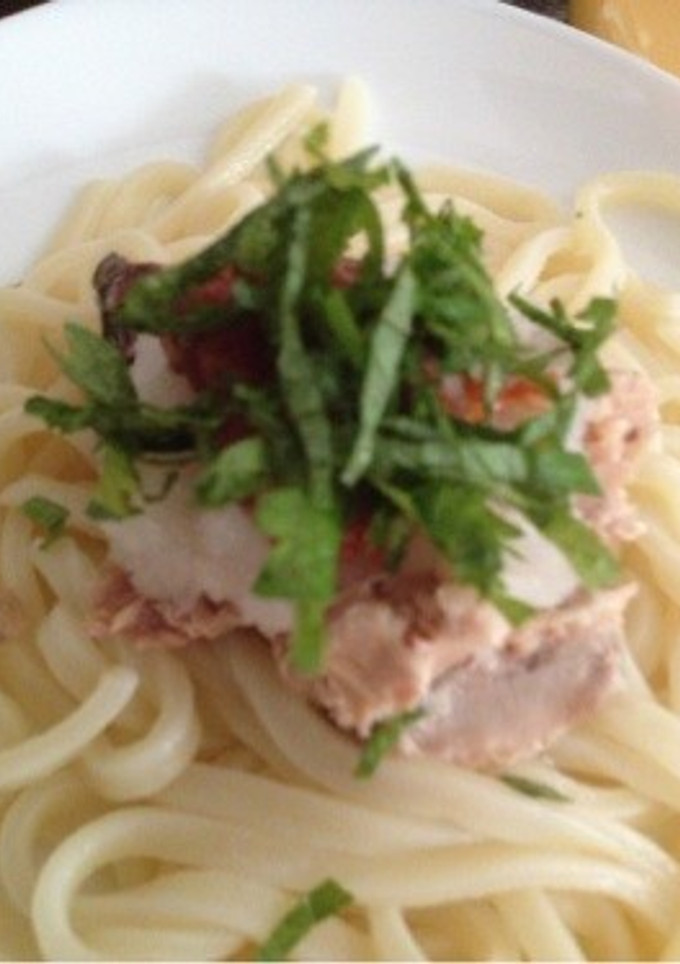 さば缶 梅おろしうどん-レシピのメイン写真