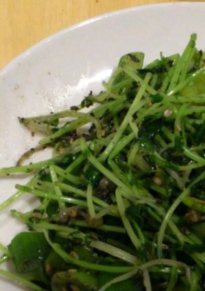 豆苗、ゴーヤ、ネギの白黒ごま炒め-レシピのメイン写真