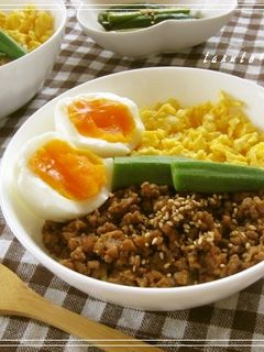 夏にぴったり☆肉味噌丼-レシピのメイン写真