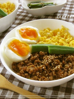 夏にぴったり☆肉味噌丼-レシピのメイン写真