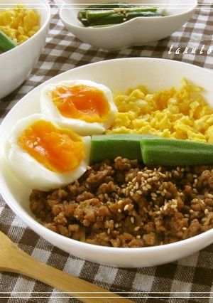 夏にぴったり☆肉味噌丼-レシピのメイン写真