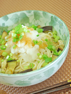 簡単*ナスと大根おろしの冷やしうどん-レシピのメイン写真