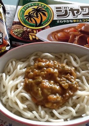 味噌煮込みうどんでカレ−-レシピのメイン写真