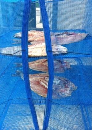 魚(イサキ)の干物-レシピのメイン写真