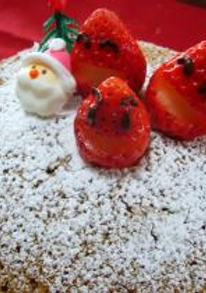 for KIDS☆卵ナシ！ココアのクリスマスケーキ♪-レシピのメイン写真