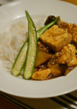 大山豆腐 男和風カレー-レシピのメイン写真