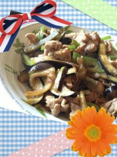 茄子とピーマンと豚肉炒め-レシピのメイン写真