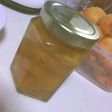 とれたてあんずのコンポート
