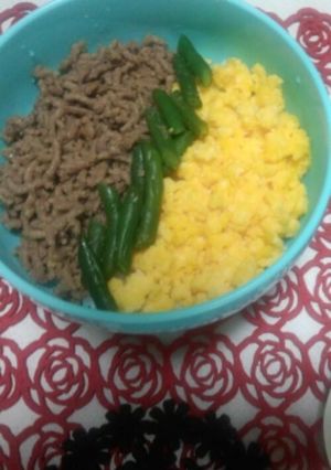 彩り鮮やか！三色そぼろ丼-レシピのメイン写真