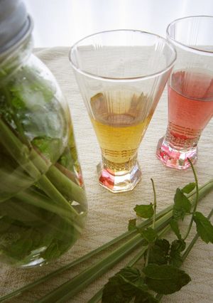 黒糖焼酎でミント酒♪そしてモヒート-レシピのメイン写真