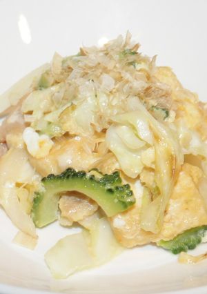 塩豆腐のゴーヤチャンプルー-レシピのメイン写真