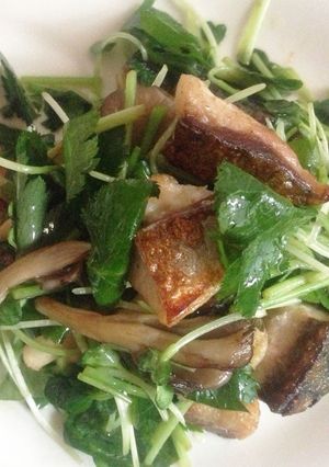 塩鯖ソテー茸と香味野菜和え-レシピのメイン写真