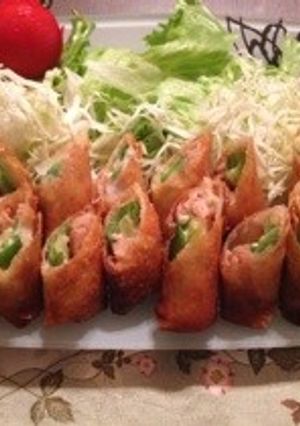 パーティー♡チーズおくらde簡単春巻き-レシピのメイン写真