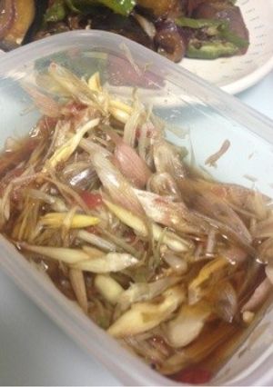 夏です☆みょうがの梅醤油漬け☆-レシピのメイン写真