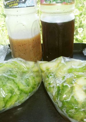 ざく切り野菜のドレッシング漬け・瓜ゴーヤ-レシピのメイン写真