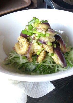 食欲がでるなすの蒸し浸し素麺風-レシピのメイン写真